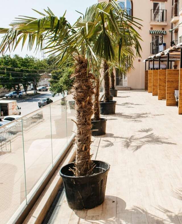 Гостиница Modjo Евпатория-122